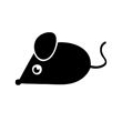 Rato 2