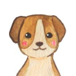 Cão