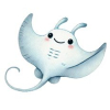 Raia Manta