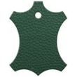 Floresta