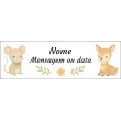 Nome e mensagem curta