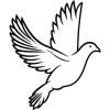 Pombo