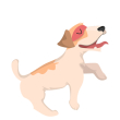 Cão1