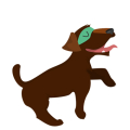 Cão3