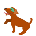 Cão5