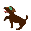 Cão6