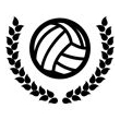 Voleibol