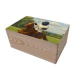 Caixa de arrumação