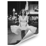 P&oacute;ster sem moldura