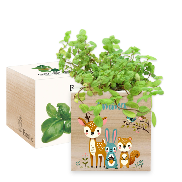 EcoCube com impressão floresta encantada