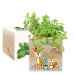 EcoCube com impressão floresta encantada