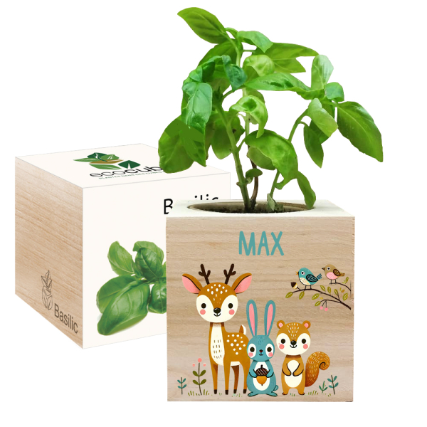 EcoCube com impressão floresta encantada
