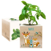 EcoCube com impressão floresta encantada