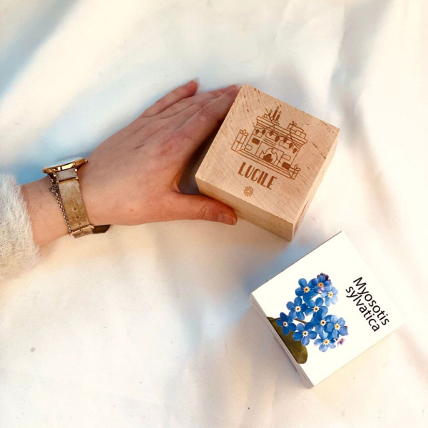 EcoCube de Natal personalizado