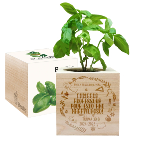 EcoCube gravado Agradecimento Professora