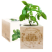 EcoCube gravado Agradecimento Professora