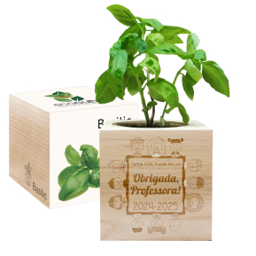 EcoCube gravado para professora EcoCube gravado para professora