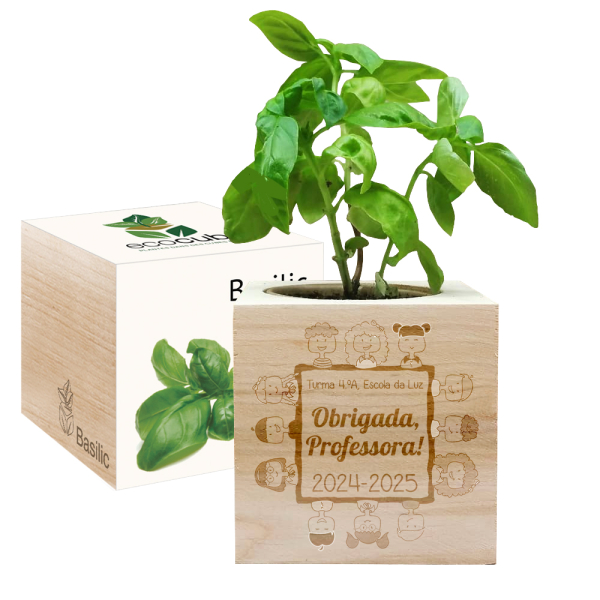 EcoCube gravado para professora