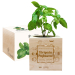 EcoCube gravado para professora