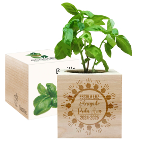 EcoCube gravado para professora círculo de mãos EcoCube gravado para professora círculo de mãos