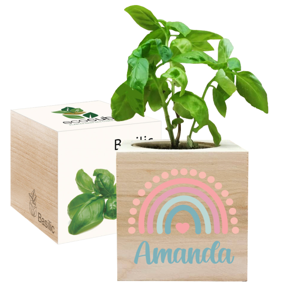 EcoCube impresso arco-íris