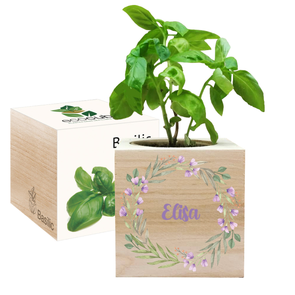 EcoCube impresso coroa vegetal