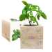 EcoCube impresso coroa vegetal