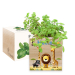 EcoCube impresso safari