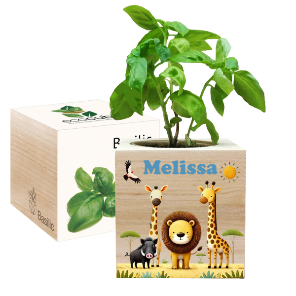 EcoCube impresso safari