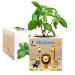 EcoCube impresso safari