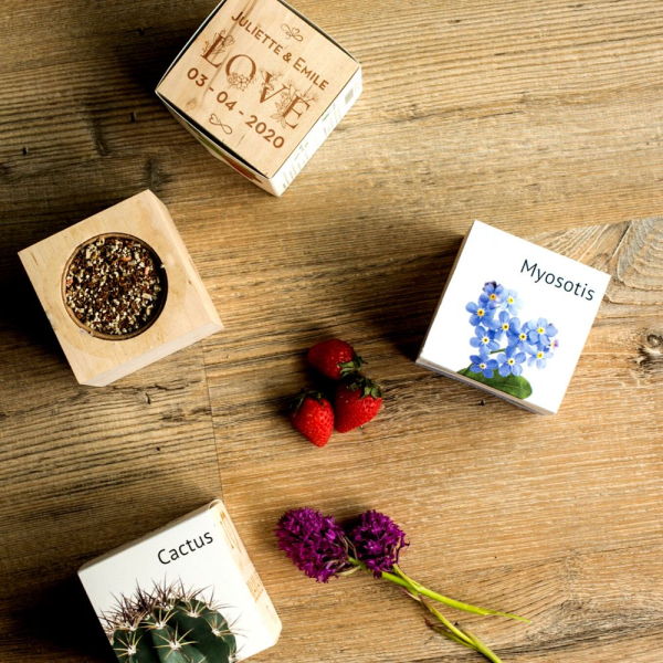 EcoCube personalizado Amor