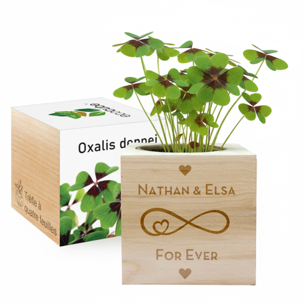 EcoCube personalizado Amor