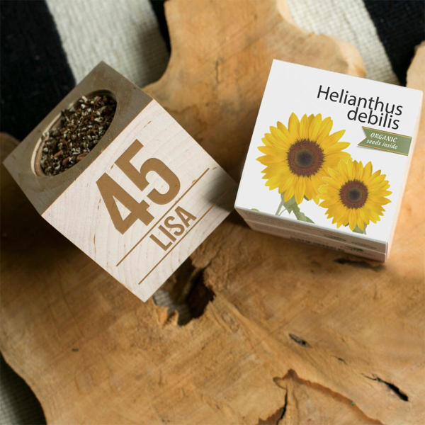 EcoCube personalizado aniversário