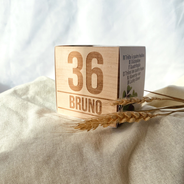 EcoCube personalizado aniversário