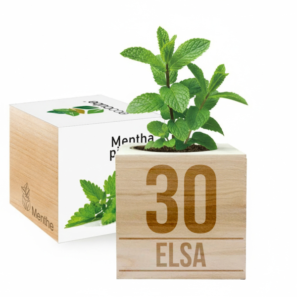 EcoCube personalizado aniversário