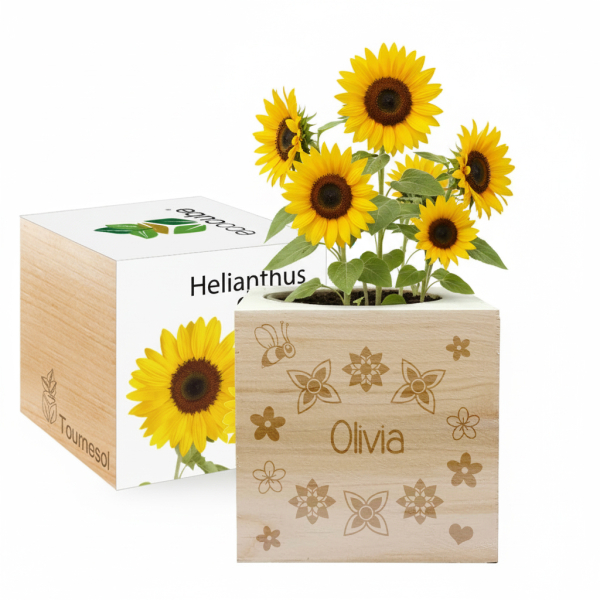 EcoCube personalizado Nome