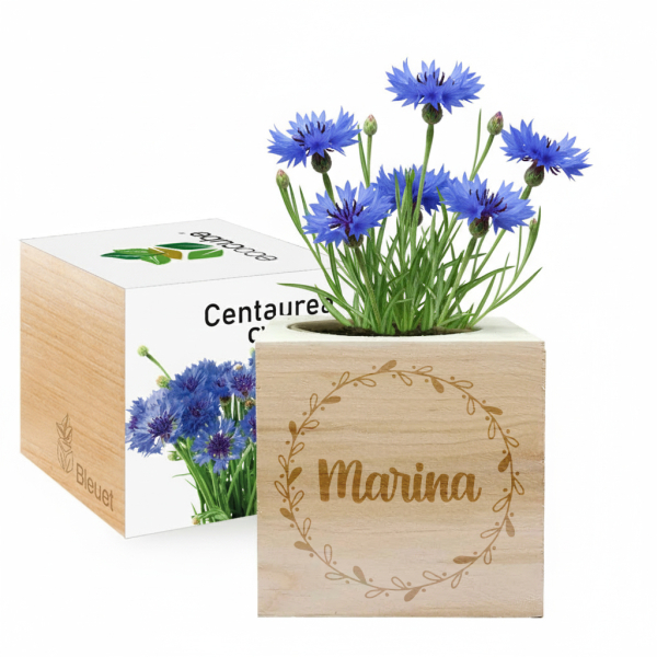 EcoCube personalizado Nome