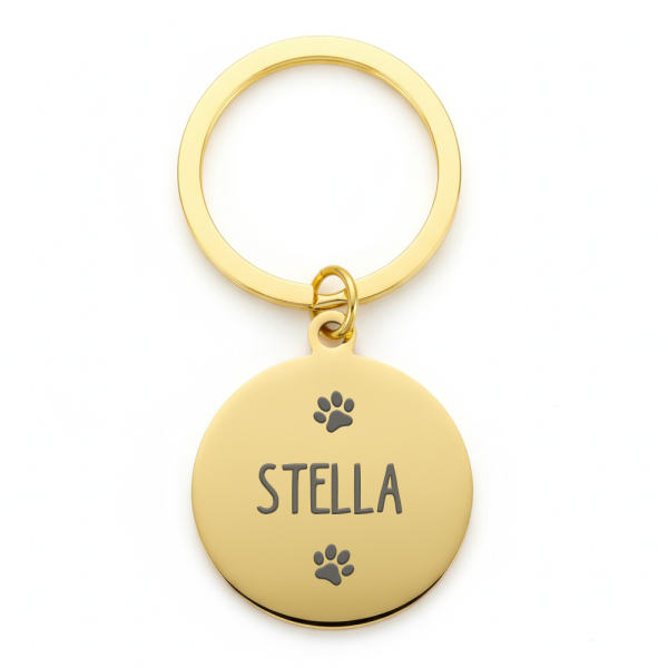 Medalha redonda gravada para c&atilde;o ou gato