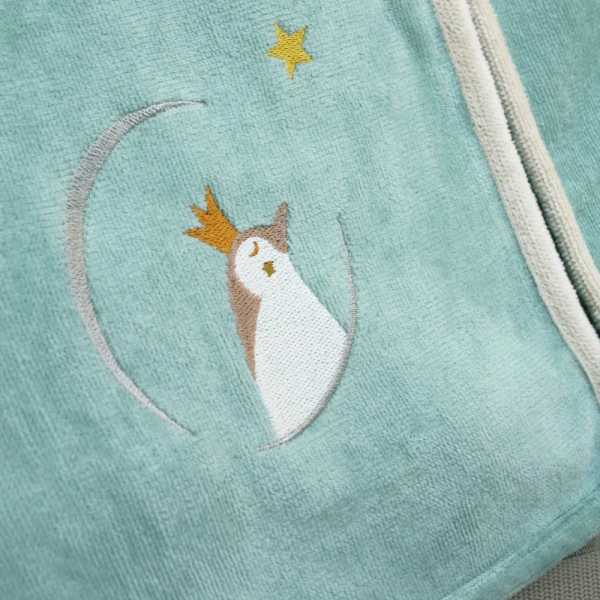 Roupão infantil personalizado Pinguim Verde
