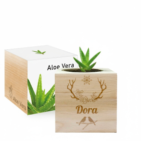 EcoCube de Natal personalizado