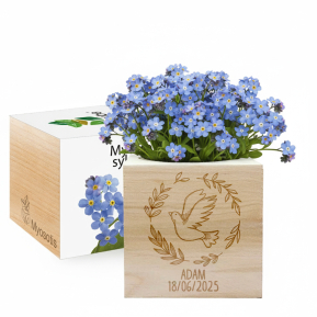 EcoCube gravado pomba batismo