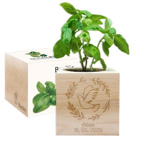 EcoCube gravado pomba batismo