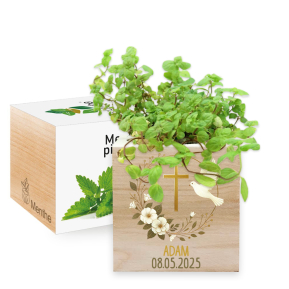 EcoCube impresso batismo pomba