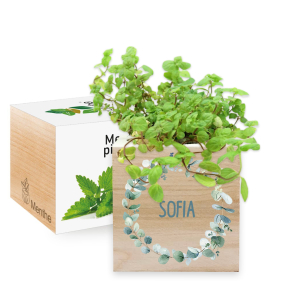 EcoCube impresso coroa vegetal