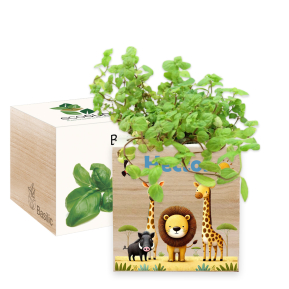 EcoCube impresso safari