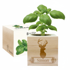EcoCube personalizado Cervo