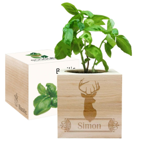 EcoCube personalizado Cervo