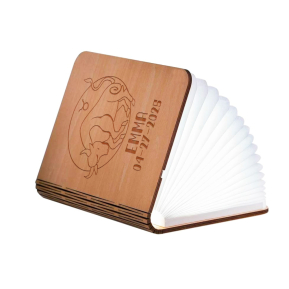 Livro luminoso personalizado - Signo do zodaco