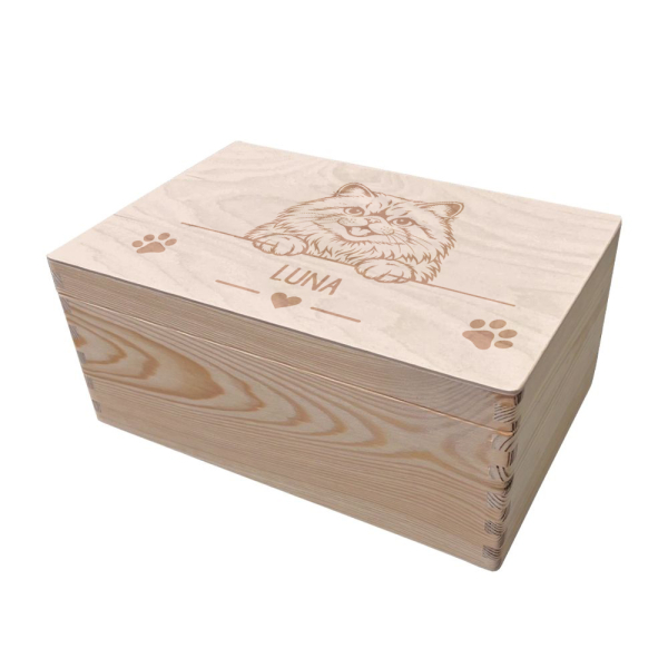Caixa de arrumação gravada para gato Caixa de arrumação gravada para gato