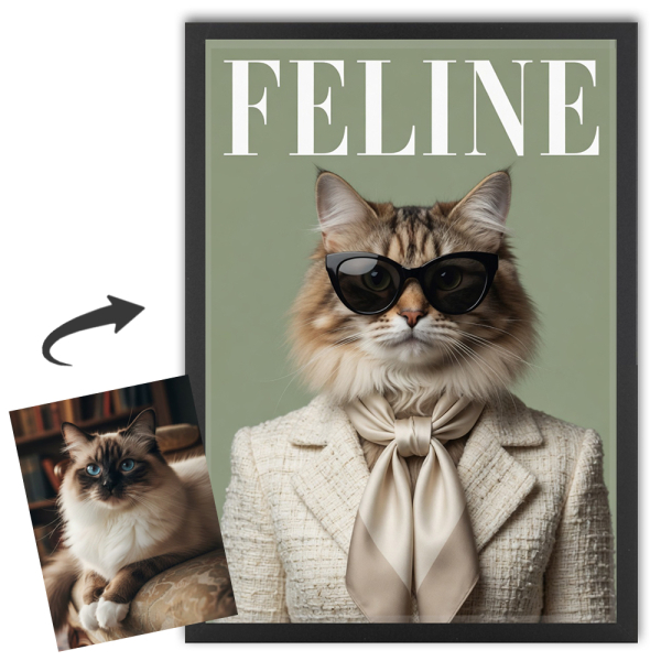 Capa da revista FELINE a partir de uma foto